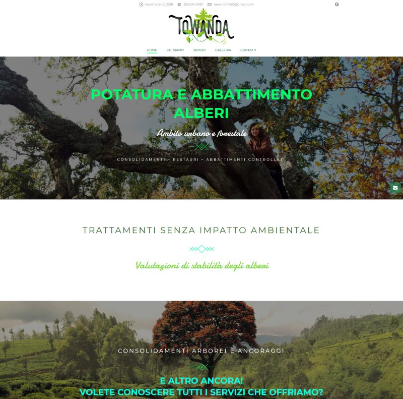 Towanda - Potatura e abbattimento alberi in ambito urbano e forestale